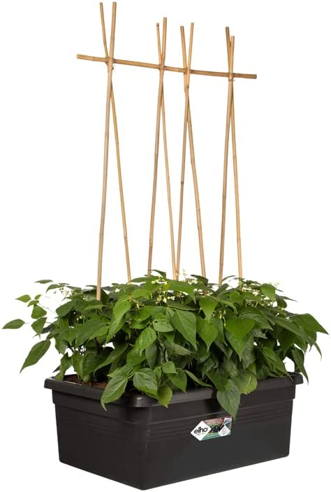 Elho - Basics - Rollbarer Blumenkasten für den Außenbereich