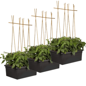 Noch 1 XL Set verfügbar:  3 x  Elho - Basics - Rollbarer Blumenkasten für den Außenbereich