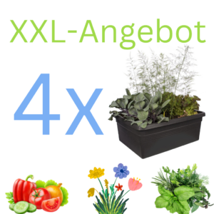 XXL - 4 x  Elho - Basics - Rollbarer Blumenkasten für den Außenbereich
